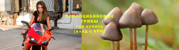 стаф Дегтярск