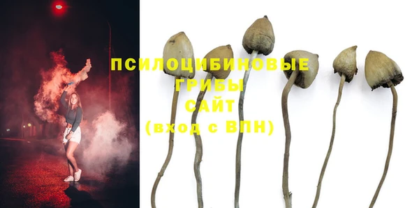 прущая мука Белокуриха